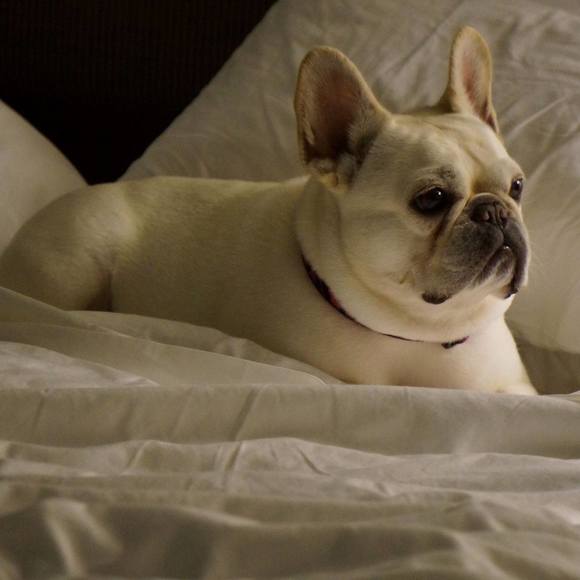 Meet your Posher, Nancy - Picture 1 of 1